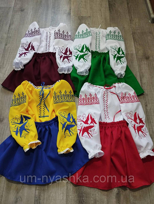 Дитячий вишитий костюм з ластівками костюм вишиванка "Ластівки" Кривий Ріг - фото 1