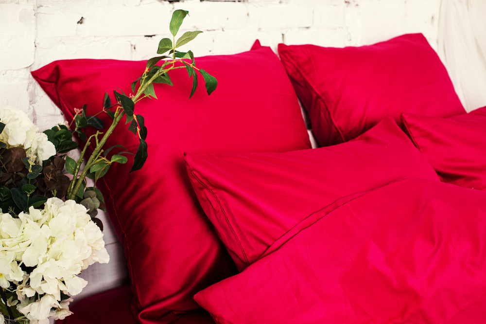 Ecotton Підковдра на блискавці Ecotton євро 210х220 см сатин із бавовни однотонний червоного ко Коломия - фото 2