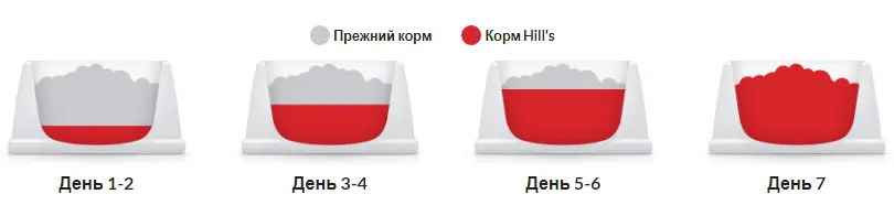 Hills Science Plan Feline Adult 1-6 Chicken (Хиллс СП Филайн Эдалт 1-6 Курица) для взрослых кошек 1-6 лет Запорожье - изображение 9