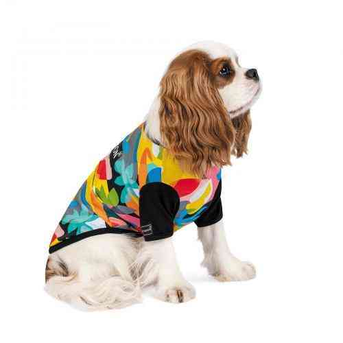 Футболка Pet Fashion для собак, размер XS2, с принтом Винница