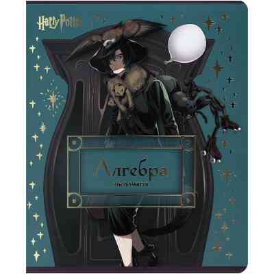 Зошит Kite предметний Harry Potter 48 аркуші, клітинка, алгебра (HP25-240-3) Вінниця