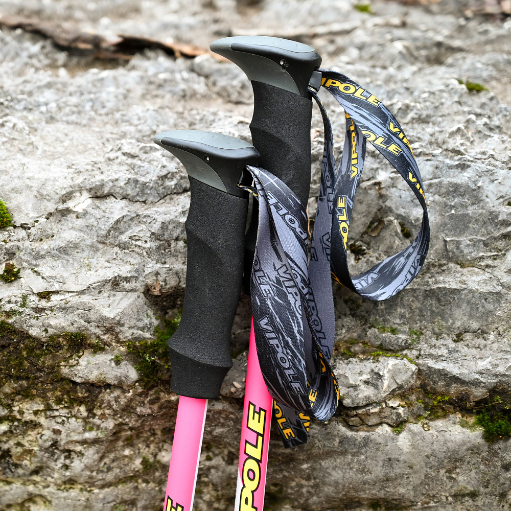 Палки трекинговые Vipole Trekker Violet (S25 11) Вінниця - фото 11