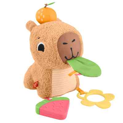 Розвиваюча іграшка Fisher-Price Капібара (HYR54) Вінниця