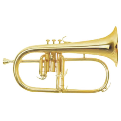 Флюгельгорн Maxtone TFC51LM Винница - изображение 1