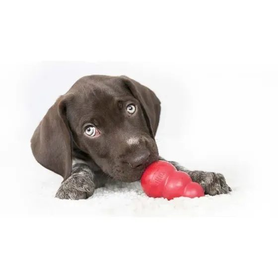 Іграшка для собак Конг KONG Classic груша годівниця для собак до 9 кг, розмір S Вінниця
