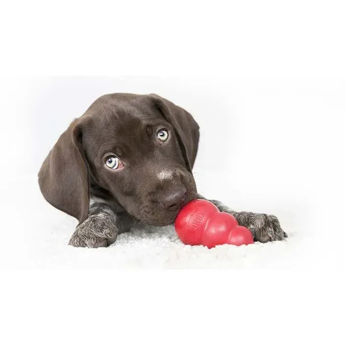 Іграшка для собак Конг KONG Classic груша годівниця для собак до 9 кг, розмір S Вінниця - фото 5