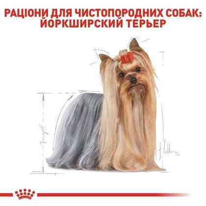 Royal Canin Yorkshire Terrier Adult (Роял Канін Йоркшир Тер'єр Едалт) корм для йоркширських тер'єрів від 10 міс Запоріжжя