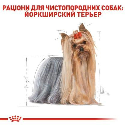 Royal Canin Yorkshire Terrier Adult (Роял Канін Йоркшир Тер'єр Едалт) корм для йоркширських тер'єрів від 10 міс Запоріжжя - фото 5