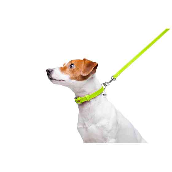 Повідець для собак шкіряний WAUDOG Glamour, Ш 12 мм, Дов 122 см салатовий Коломыя