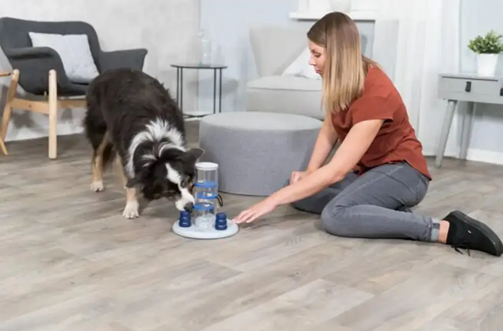 Інтерактивна гра з кормом для собак Trixie Dog Activity Gambling Tower (Тріксі) 25х27 см Запоріжжя - фото 6