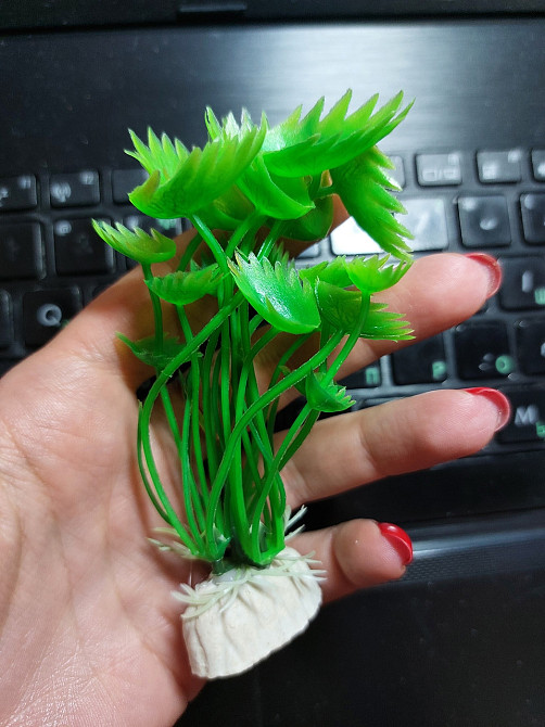 Искусственные растения для аквариума зеленые - длина 11см, пластик Киев - изображение 1