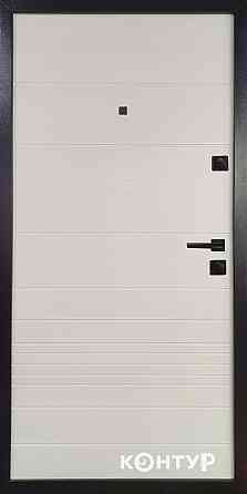 Двери квартирные, серия ТИП 12.2 модель 147 титан горизонт/шел горизонт 860 Киев