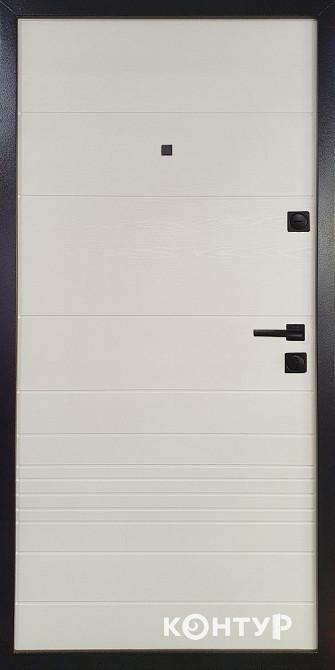 Двери квартирные, серия ТИП 12.2 модель 147 титан горизонт/шел горизонт 860 Киев - изображение 2