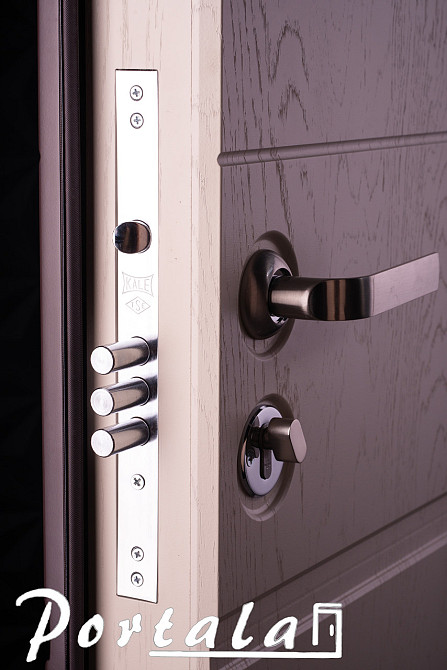 Двери уличные, МДФ-покраска по RAL,серия Премиум, модель Лозана, гнутый профиль, коробка 150 мм, полотно 105мм Киев - изображение 4