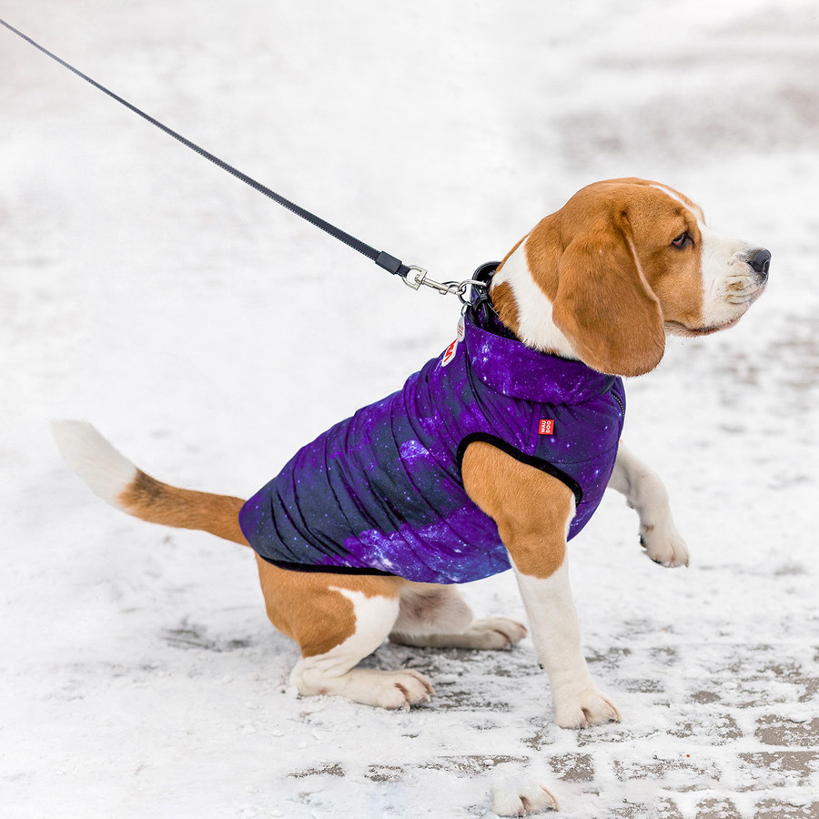 Курточка для собак WAUDOG Clothes рисунок 