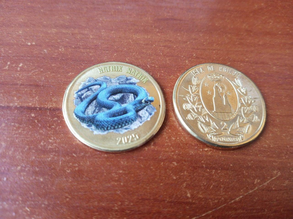 Острів де ЧІЛІ 2 фунта 2025 змія Полтава - фото 1