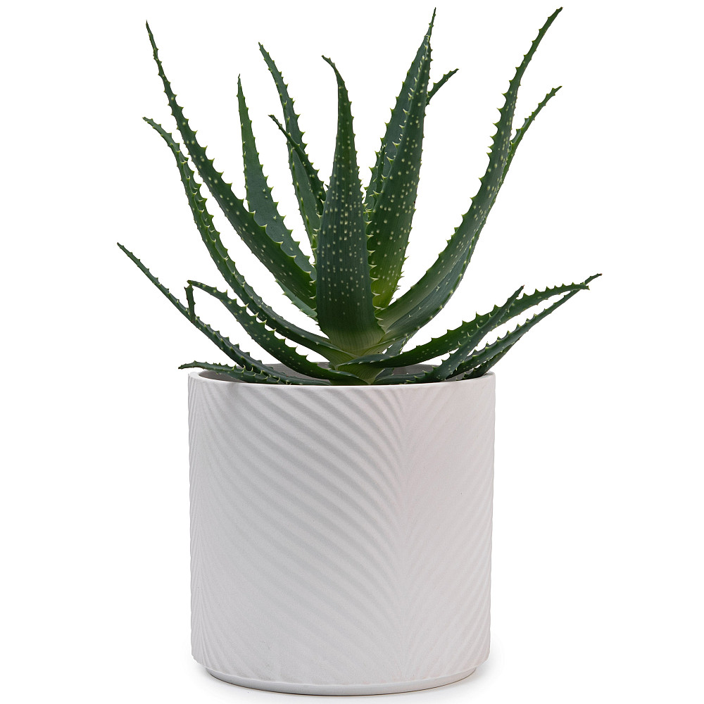 elemi Набір кашпо для квітів керамічні elemi "Листок" (13"; 16"; 19") (1,3 л; 2,3 л; 4,5 л) біл Коломия - фото 2