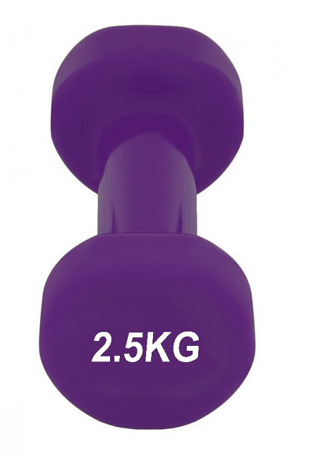 Гантель вінілова для занять фітнесом аеробікою PowerPlay 4125 Achilles 2.5 кг фіолетова 1 шт Київ - фото 4