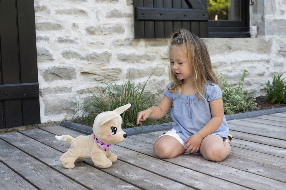 Интерактивная собачка Chi Chi Love Baby Boo, укр. язык, выполняет 12 команд (5893500) Киев - изображение 4