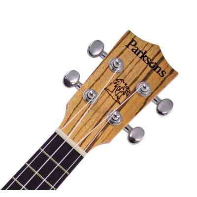 Укулеле Parksons UK21Z + Чохол RB20000 Вінниця