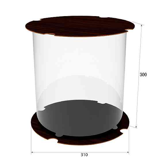 Коробка для тортів, квітів та подарунків EKOSTAR 270х300 Київ