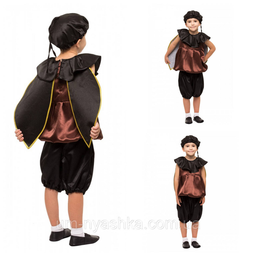 Дитячий костюм жука Кривий Ріг - фото 1