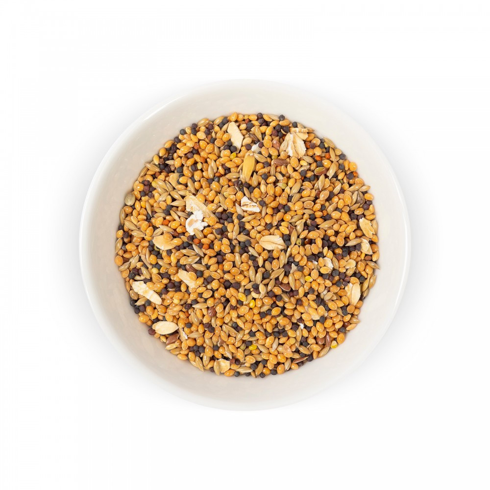 Полноценный корм для экзотических птиц 