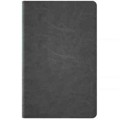 Еженедельник Axent датированный 2026 Partner City Soft 125х195, серый (8521-26-06-A) Винница