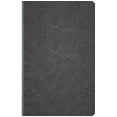 Еженедельник Axent датированный 2026 Partner City Soft 125х195, серый (8521-26-06-A) Винница - изображение 4