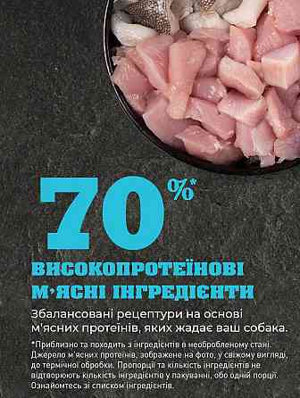 Acana Puppy Small Breed Recipe (Акана Паппи Смал Брид Рецип) сухой корм для щенков малых пород Запорожье