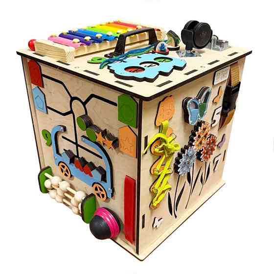 Развивающая игрушка Бизикуб TG145644730, 30х30 см Винница