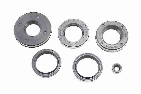 Сальники к-кт 6шт (8x16x7; 25x62x8; 30x52x8; 30x52x10; 36x47x6,5/10-2шт) 12V Київ