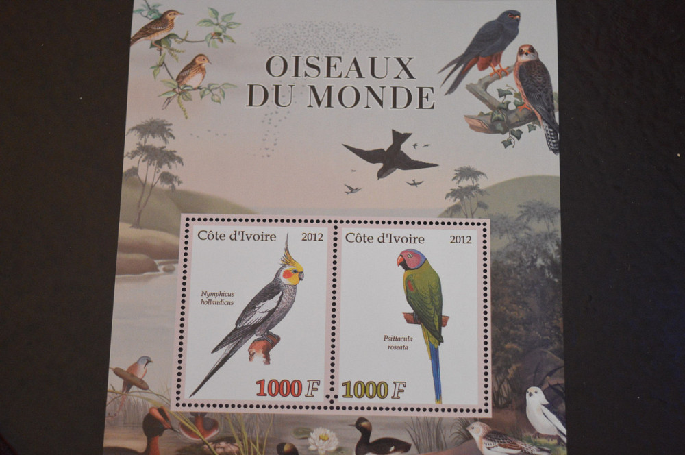 Кот-д'Івуар. Фауна. Блок. 2015 рік (В-6) Полтава - фото 1