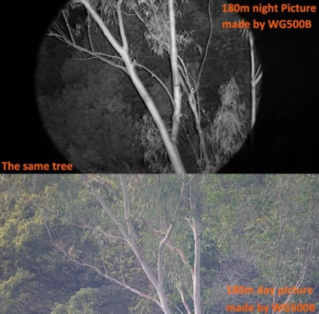 Прилад нічного бачення Widgameplus WG500B 1080P HD 10.8X31 Цифровий бінокль Вінниця - фото 9