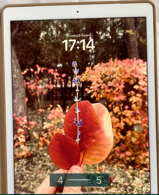 Планшет: iPad Pro 12.9 Дюйма Киев - изображение 4