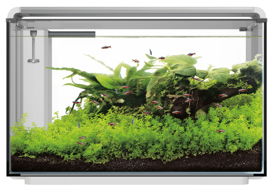Акваріумний набір SuperFish Home ProLED 85 White (A4051640) Київ