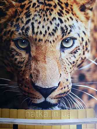 Шпалери вінілові на флізелін тварини птахи риби Київ