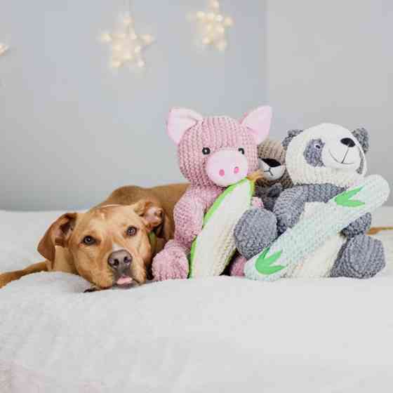 Іграшка для собак Patchwork Pet Maizey the Pig (Печворк Пт Свинка Мейзі) Запоріжжя