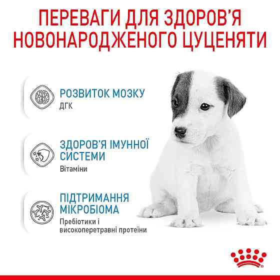 Молоко для новонароджених собак ROYAL CANIN BABYDOG MILK 0.4 кг Киев