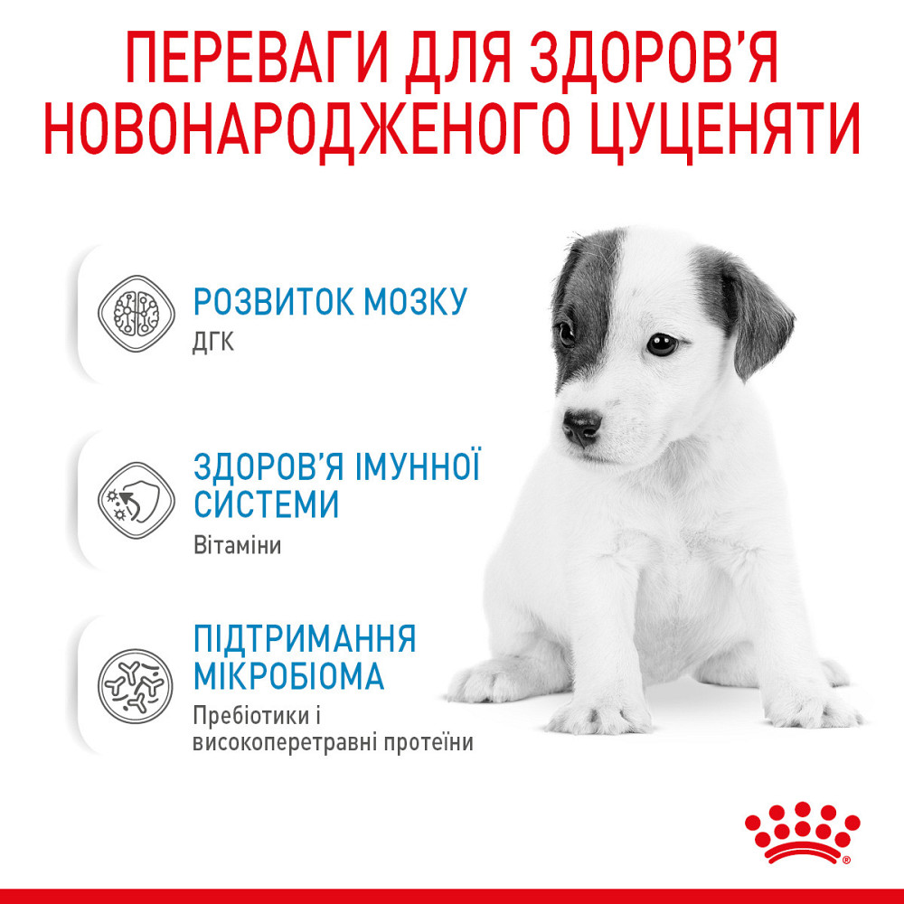 Молоко для новонароджених собак ROYAL CANIN BABYDOG MILK 0.4 кг Киев - изображение 3