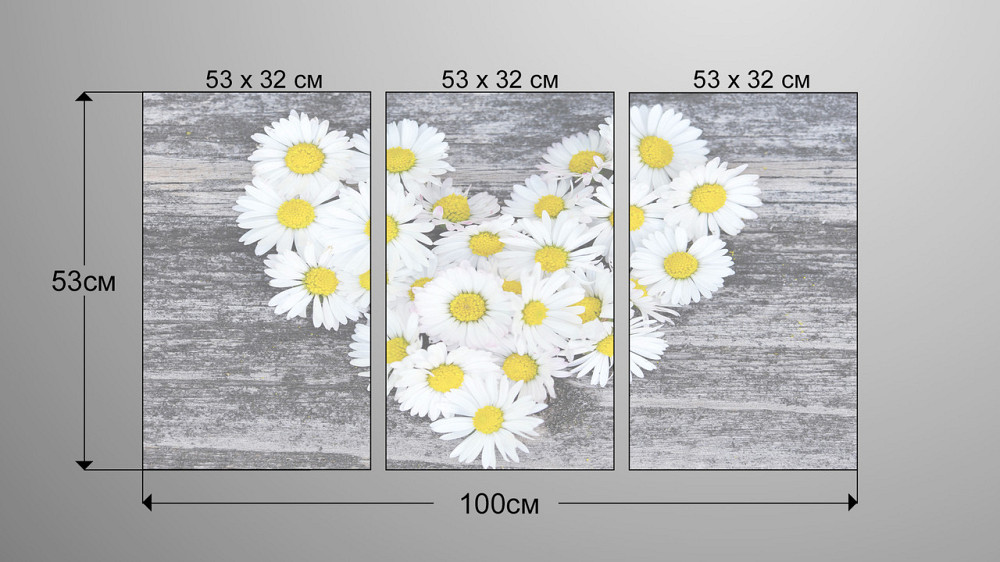 Модульна картина Ромашки Серце Art-72_3А Київ - фото 3