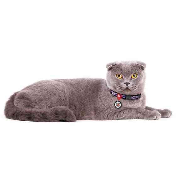 Нашийник для собак нейлоновий WAUDOG Nylon з QR-паспортом, малюнок "Фіолетовий камо", пластиковий фастекс, Ш 10 Вінниця