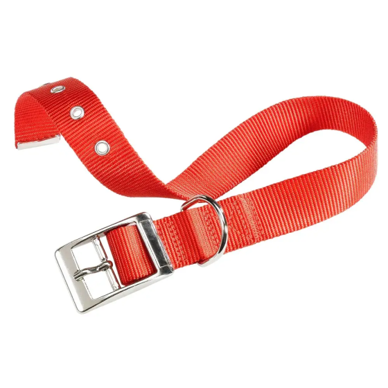 Нейлоновый ошейник для собак Ferplast Club CF (Ферпласт Клуб СФ) CF25/45 - A: 37-45 cm B: 25 mm, Красный Запорожье