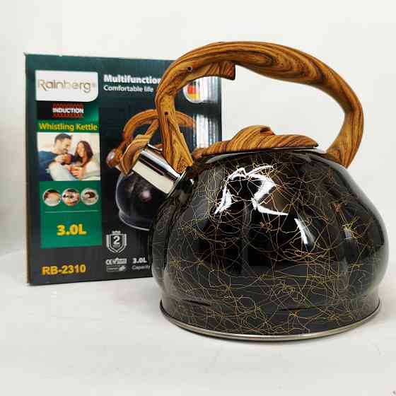 Чайник из нержавеющей стали с пищалкой Rainberg, Чайник для газовых плит для газовой комфорки SX-66 Львов