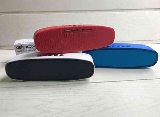 Колонка портативна G-668 з USB+SD+ Bluetooth + FM радіо Київ