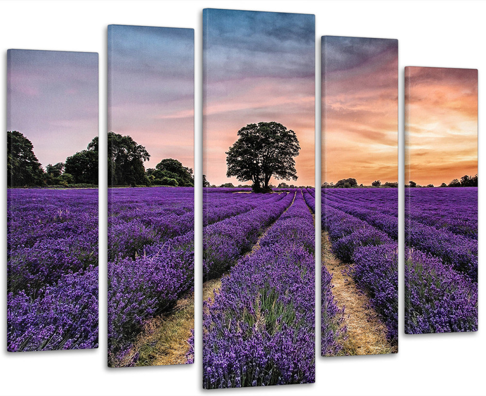Модульна картина у вітальню/спальню Лавандове поле на заході сонця  LM018_5 90х132 см Київ - фото 1