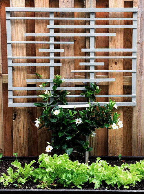 Опора для плетущихся 