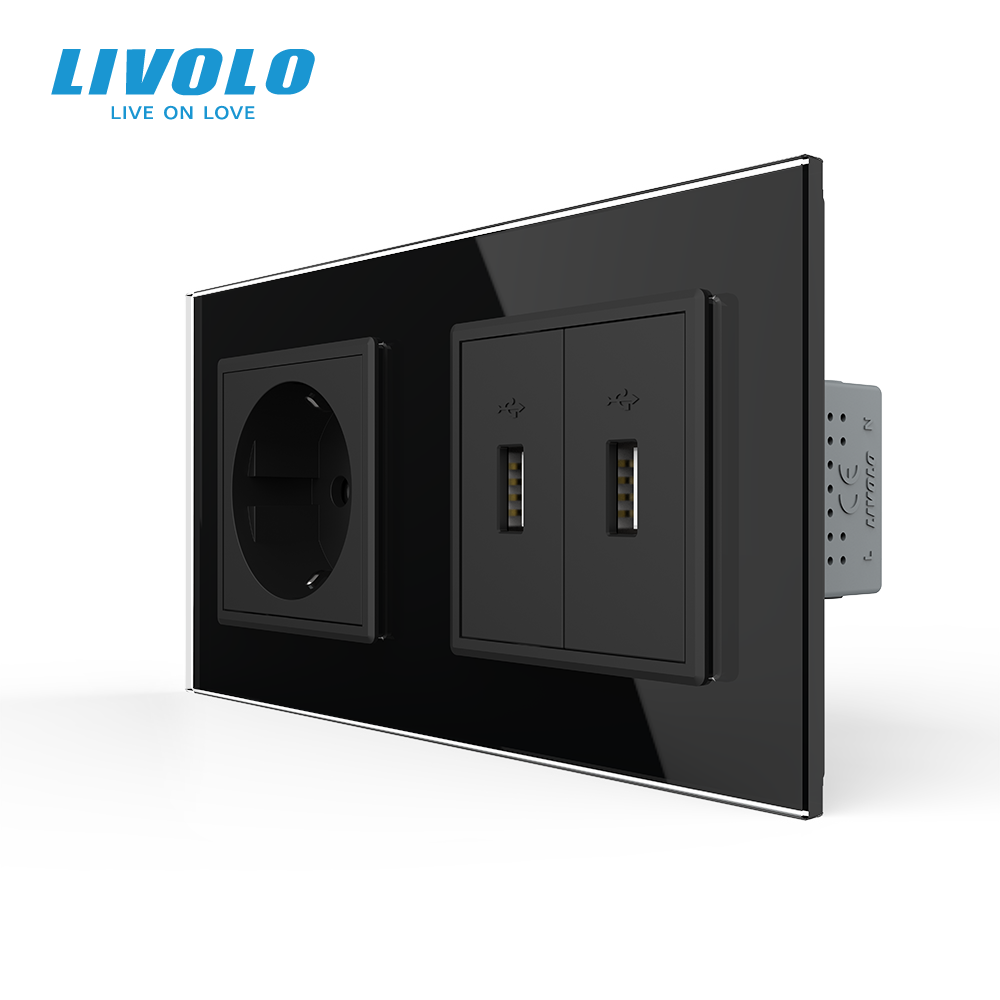 Розетка з заземленням з 2 USB розетками LIVOLO чорна матова скло Коломыя - изображение 1