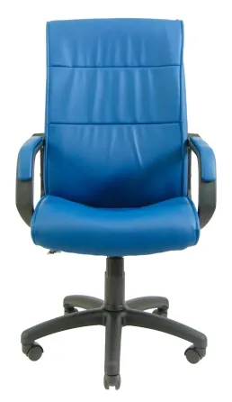 Офісне Крісло Керівника Richman Rio Fly 2227 Пластік Річ М1 Tilt Синій Київ