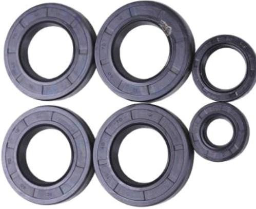 Сальники КПП/6 (набор, 6шт) Мукачево - изображение 1